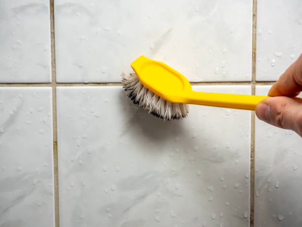 Best Mold Testing and Inspection Services in Johnstonville, CA