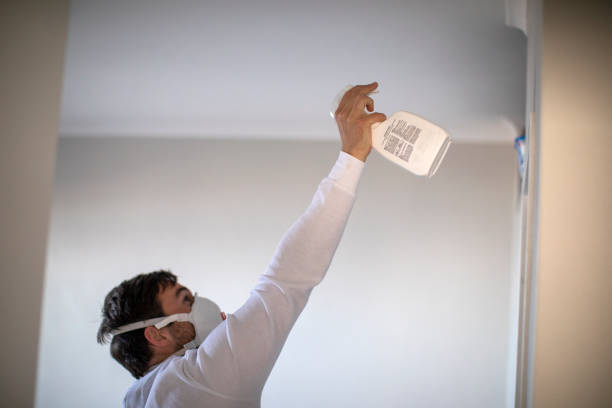 Best Localized Mold Remediation (e.g., coastal areas, humid climates) in Johnstonville, CA